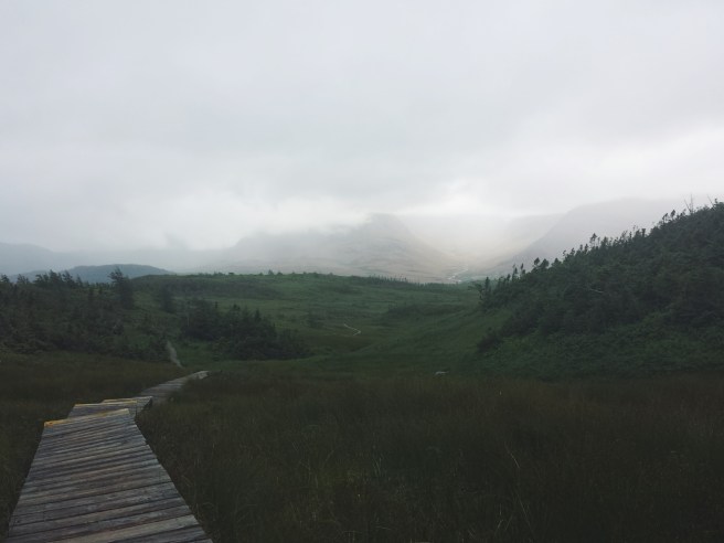 Processed with VSCO with f2 preset