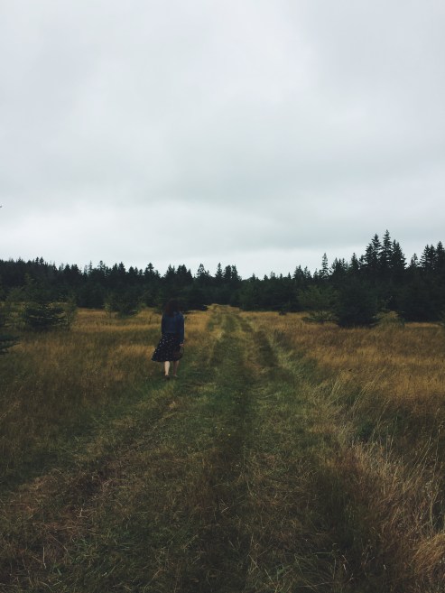 Processed with VSCO with f2 preset