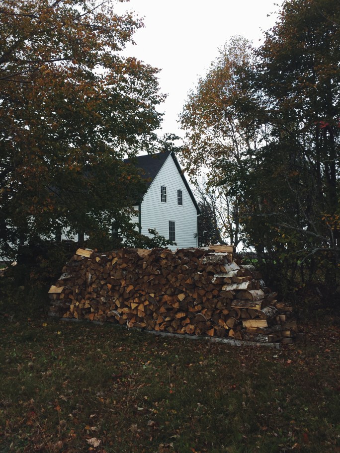 Processed with VSCO with f2 preset