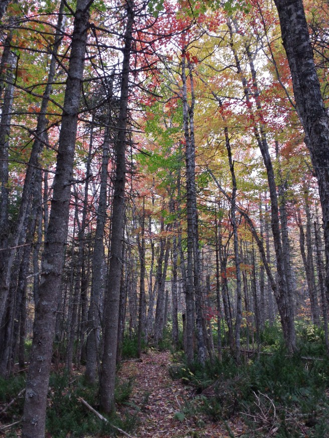 20161014_174724_richtonehdr