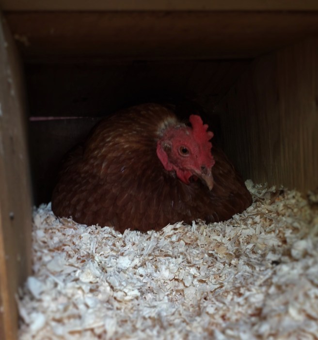 20161027_094213_richtonehdr