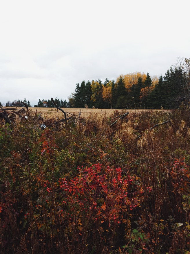 Processed with VSCO with f2 preset