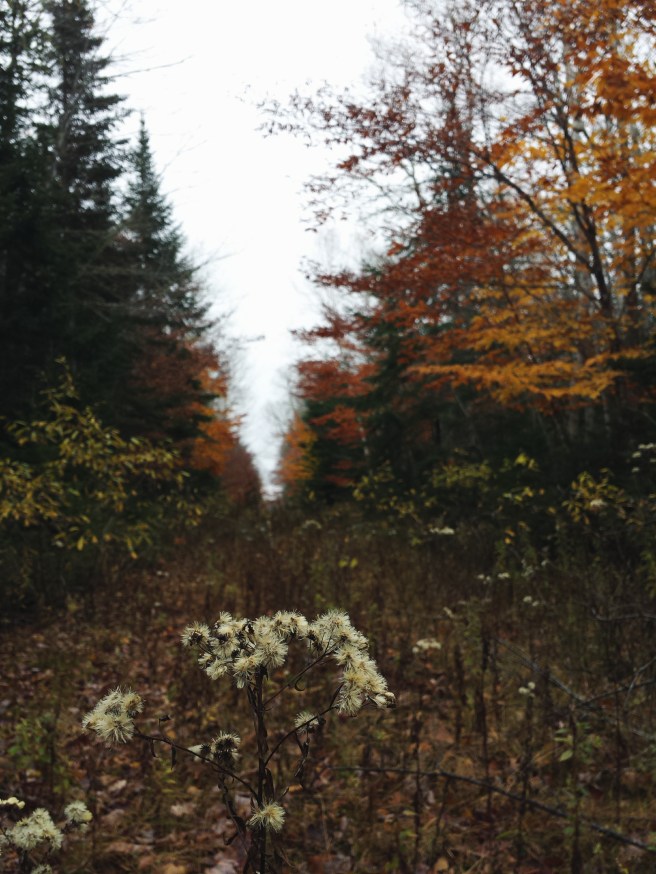 Processed with VSCO with f2 preset