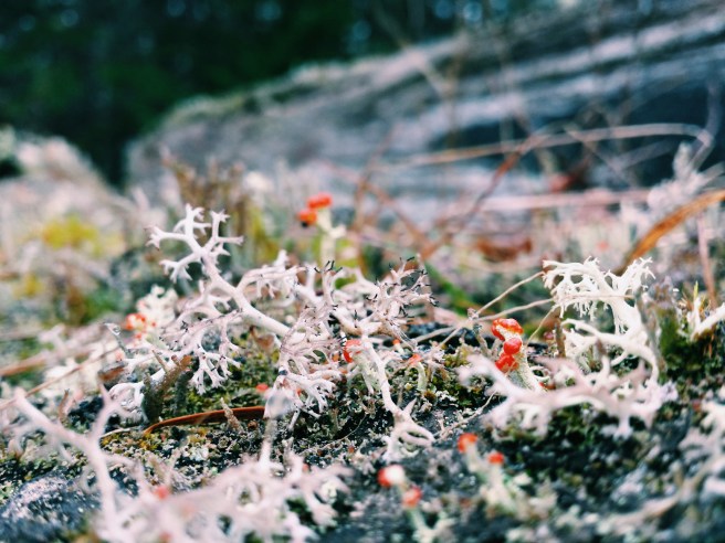 Processed with VSCO with c1 preset