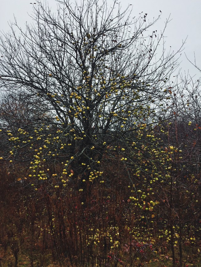 Processed with VSCO with f2 preset