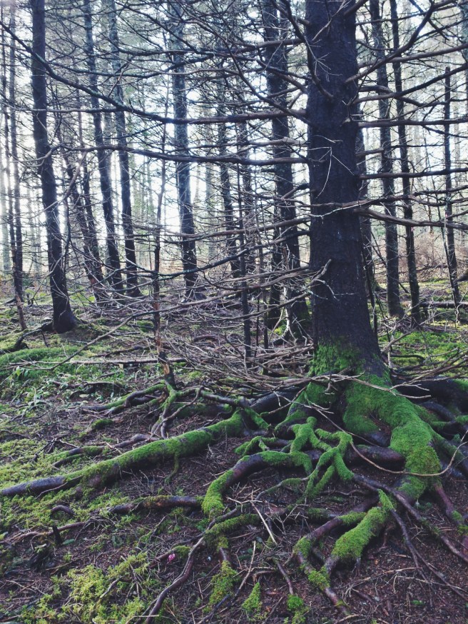 Processed with VSCO with f2 preset