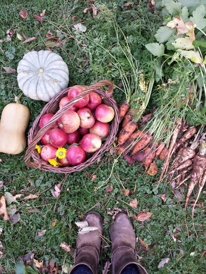 20161021_110155_richtonehdr