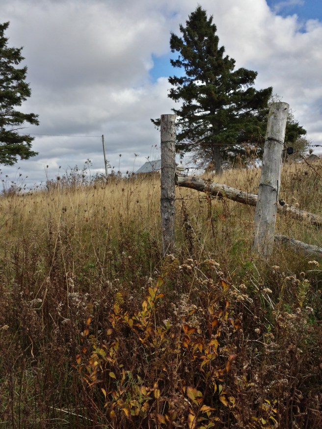 20161027_143116_richtonehdr