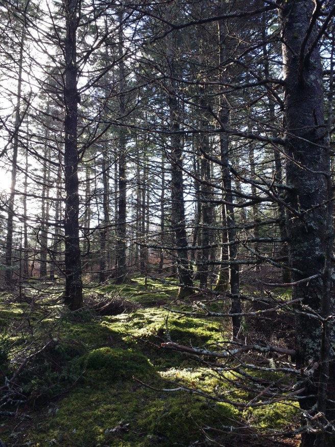 20161121_143754_richtonehdr