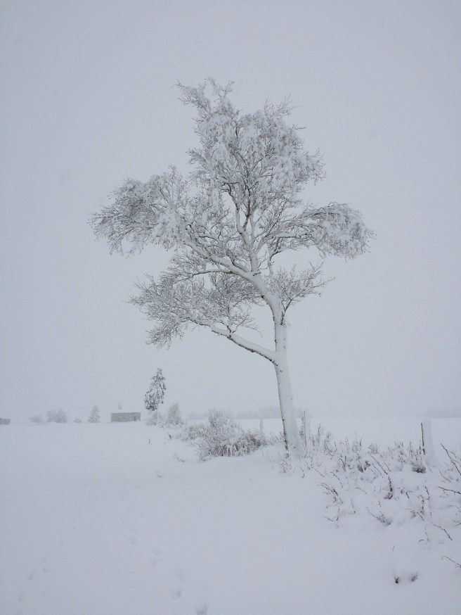 20161130_083758_richtonehdr