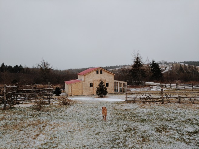 Processed with VSCO with m5 preset