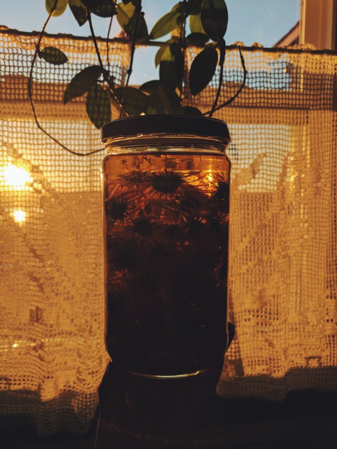 Processed with VSCO with f2 preset