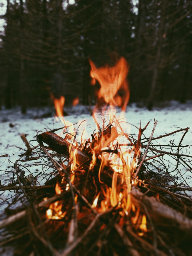 Processed with VSCO with p5 preset