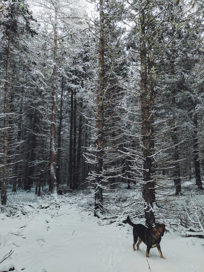 Processed with VSCO with f2 preset