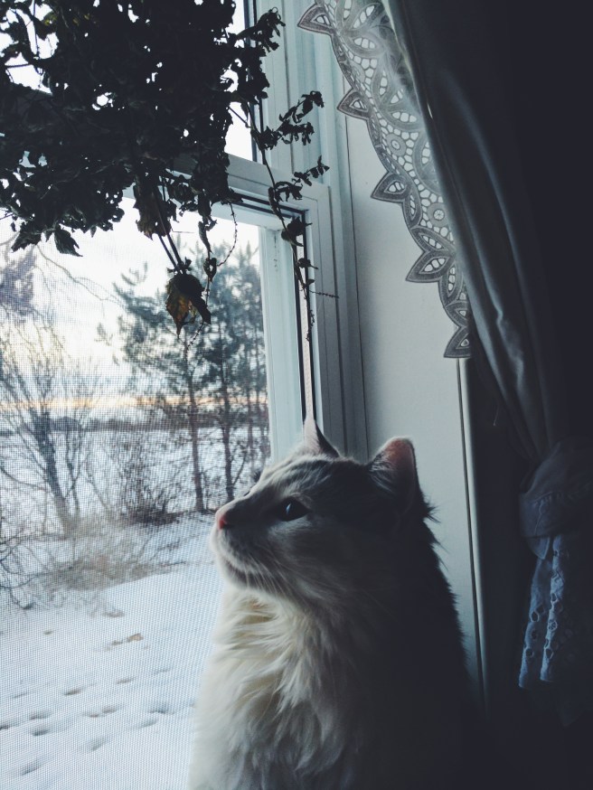 Processed with VSCO with f2 preset