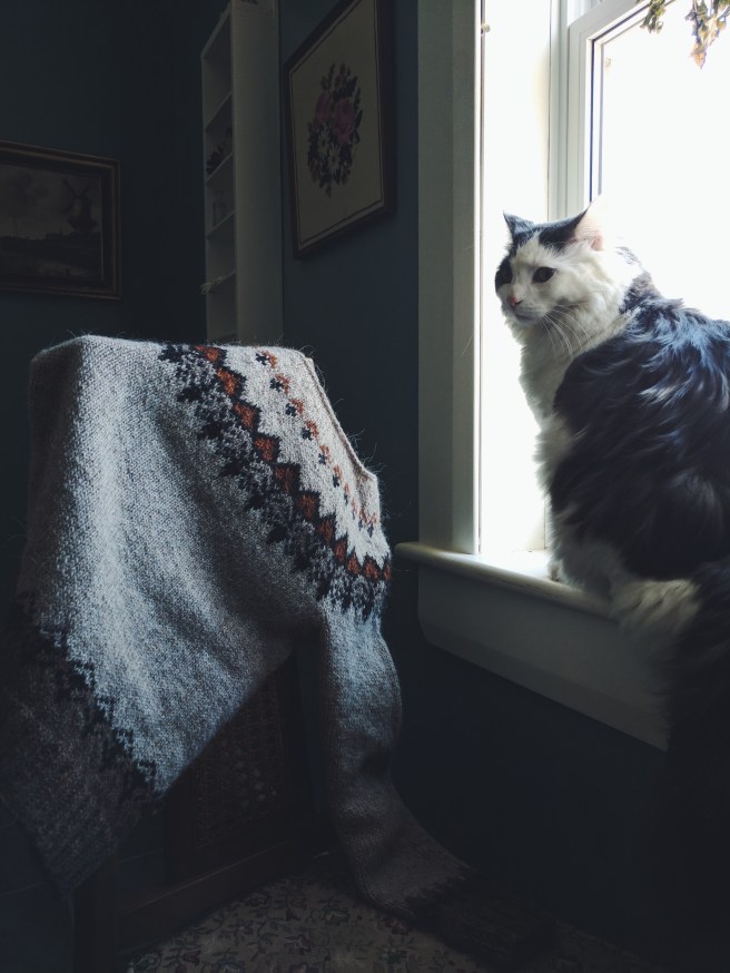 The final sweater and Pangur