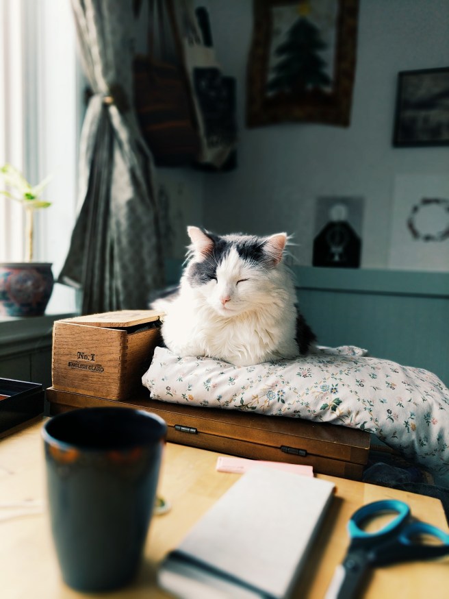 Studio Companion <3 Oh Pangur!