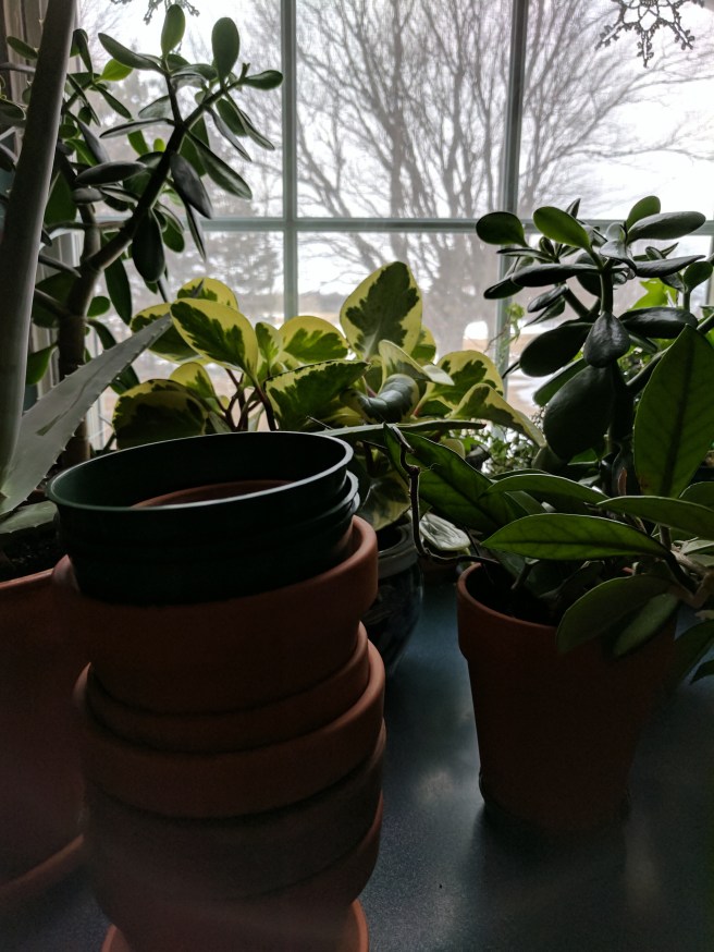 IMG_20170329_132039 (1)