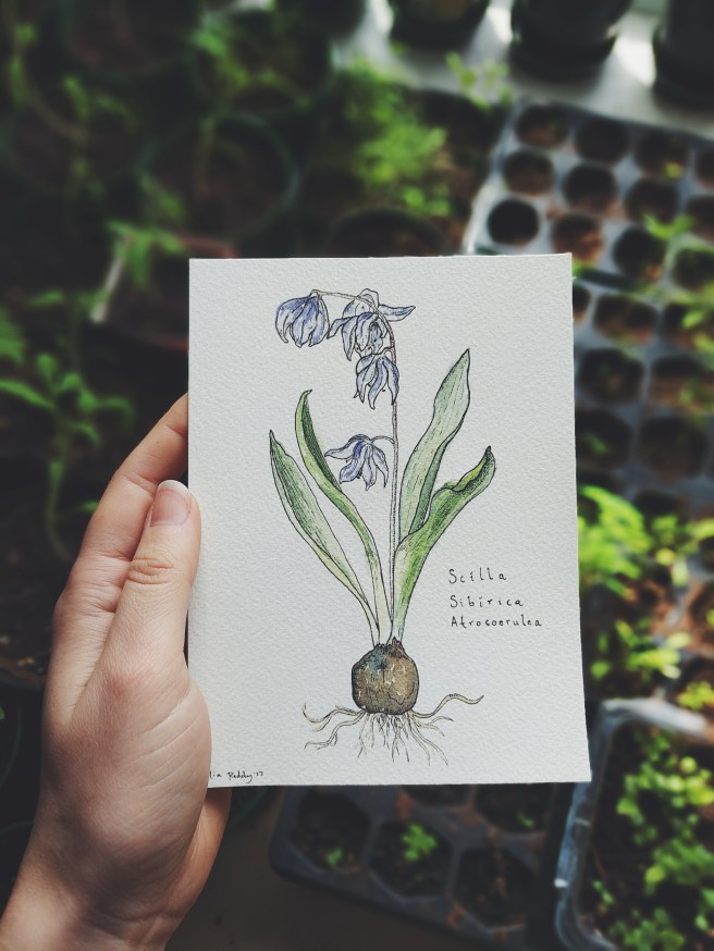 Processed with VSCO with f2 preset