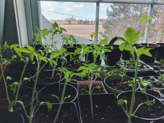 Processed with VSCO with f2 preset