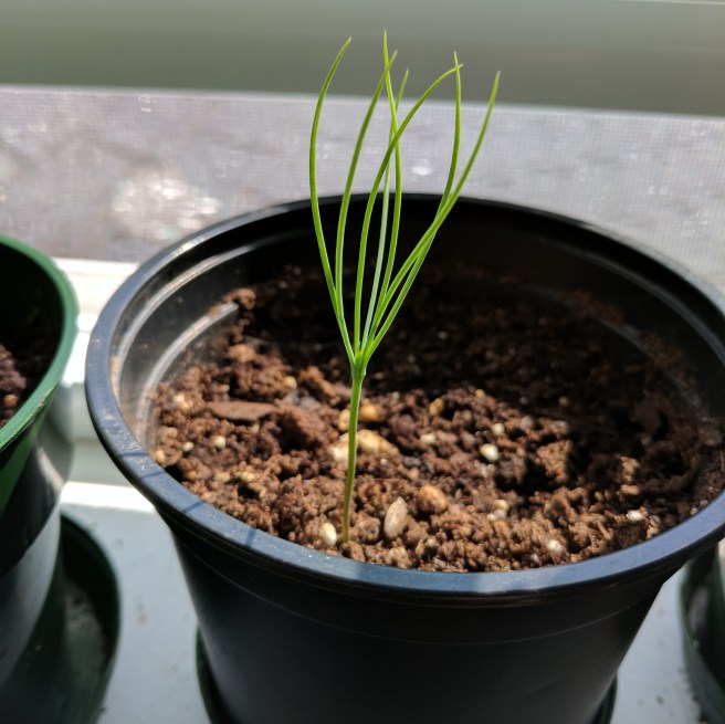 Processed with VSCO with  preset