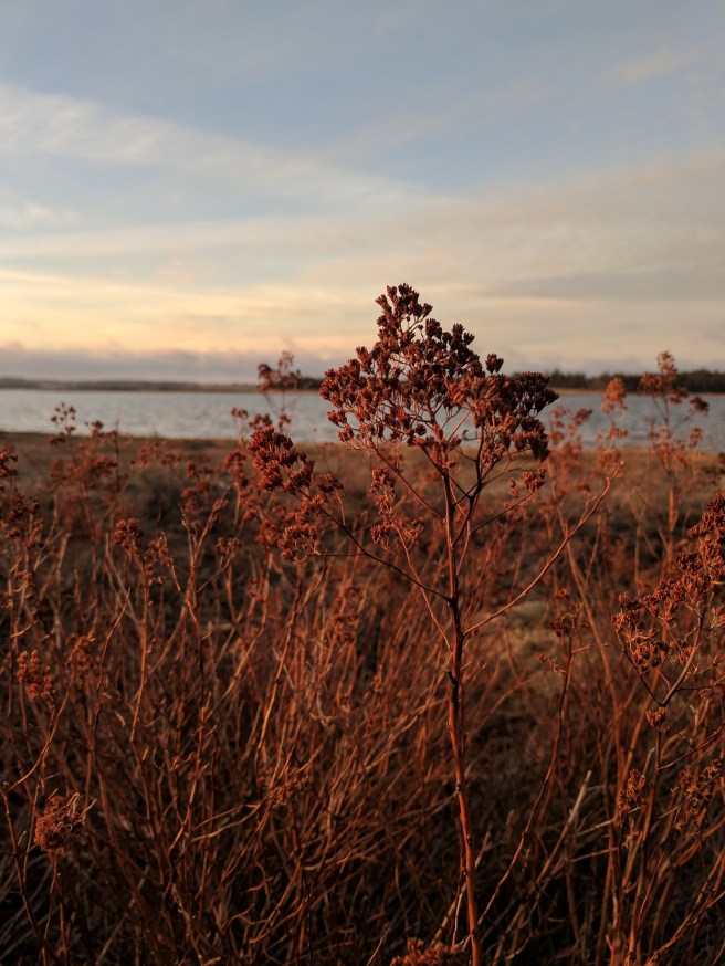 IMG_20170421_195024~2