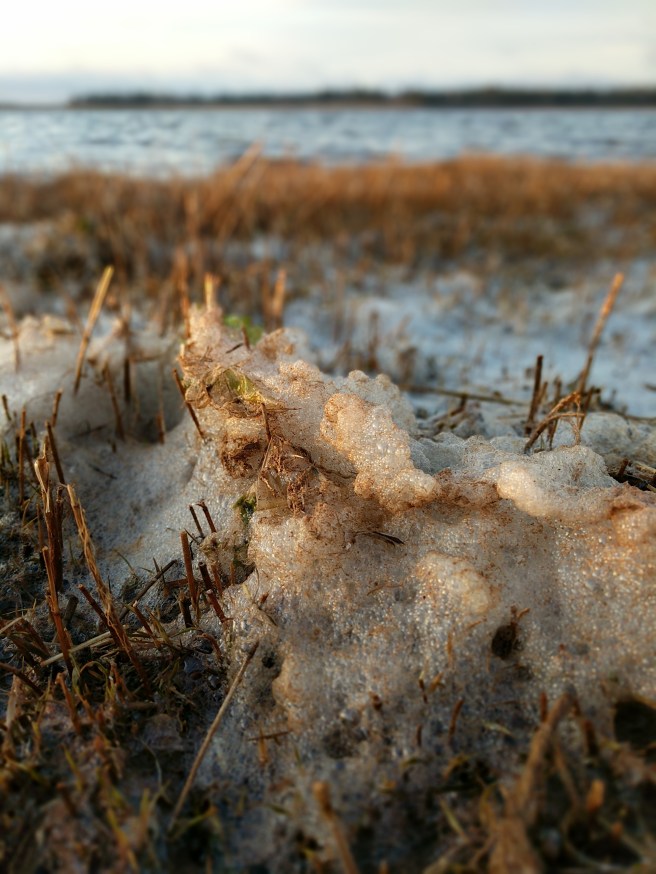 IMG_20170421_195128 (1)