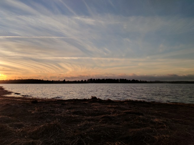 IMG_20170421_195337~2