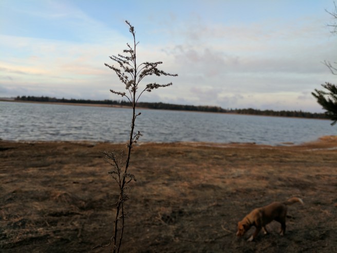 IMG_20170421_195822 (1)