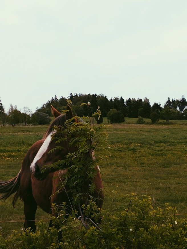 Processed with VSCO with p5 preset