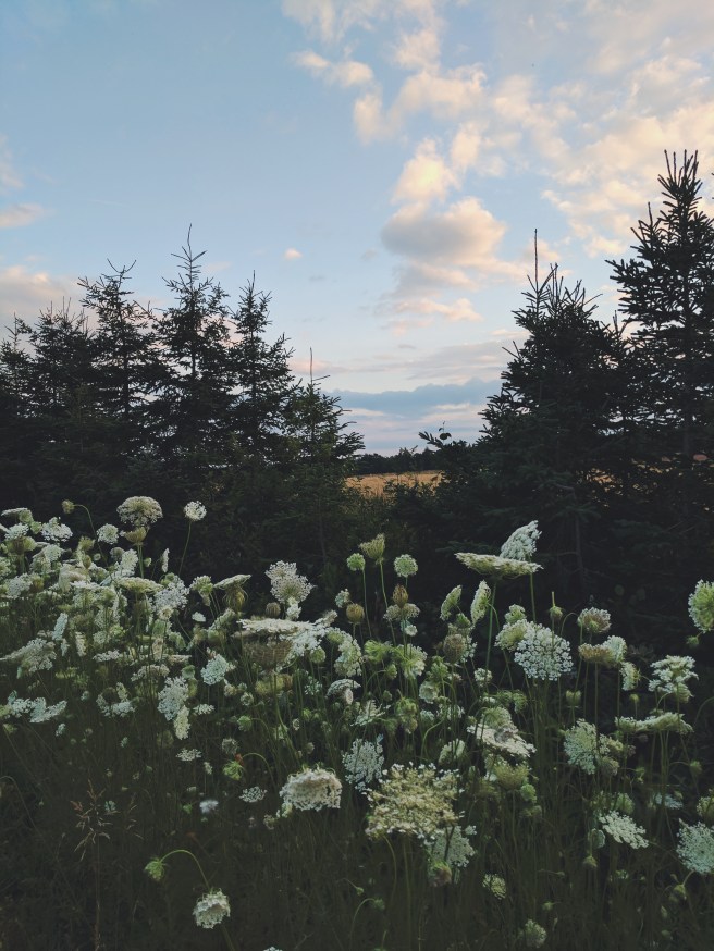 Processed with VSCO with f2 preset