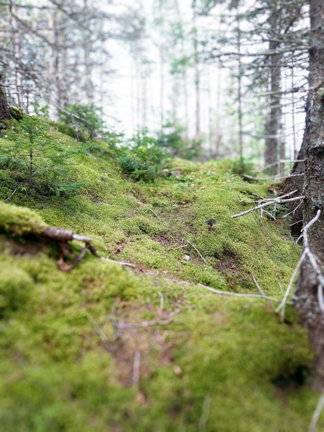 Processed with VSCO with preset