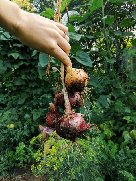 Processed with VSCO with g3 preset