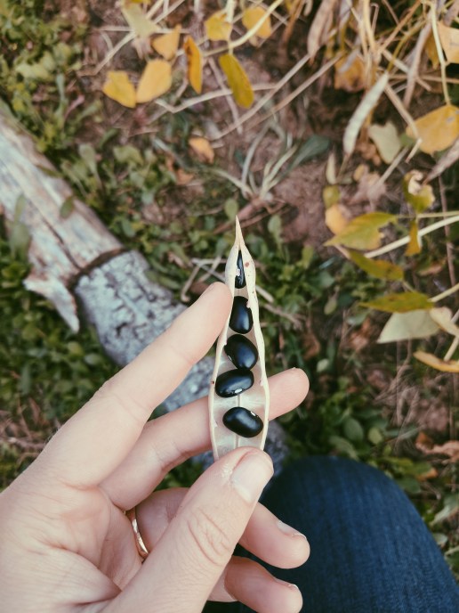 Processed with VSCO with p5 preset