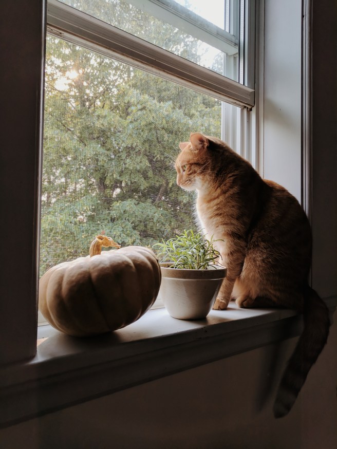 Processed with VSCO with m5 preset