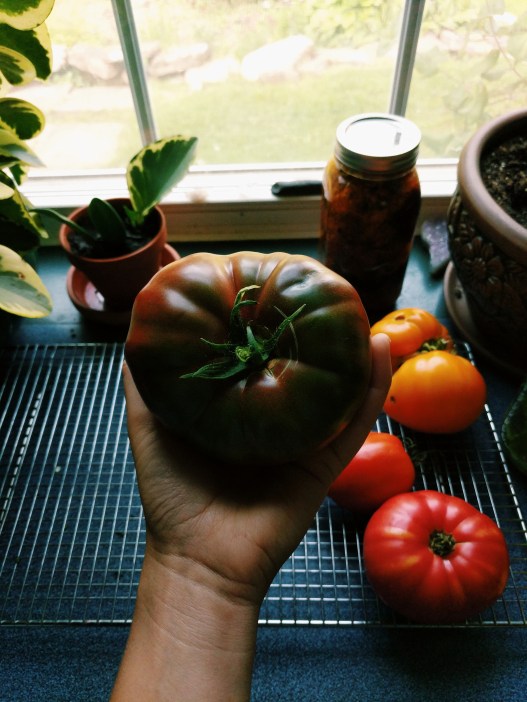 Processed with VSCO with c1 preset