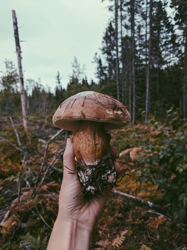 Processed with VSCO with p5 preset