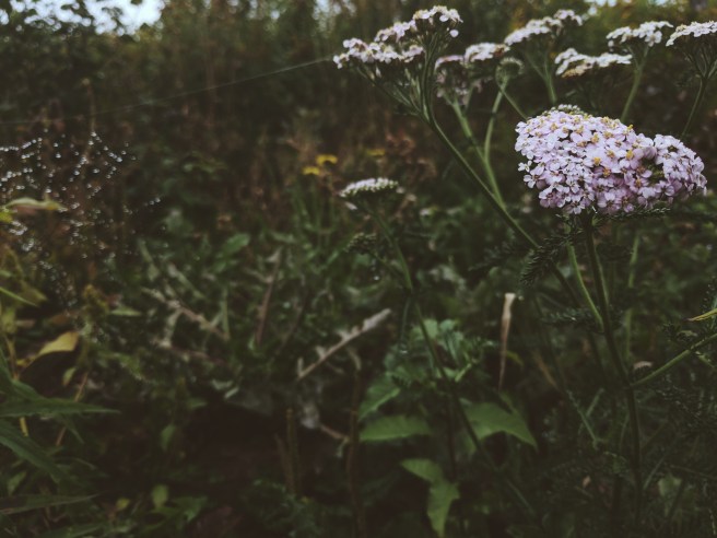 Processed with VSCO with m3 preset