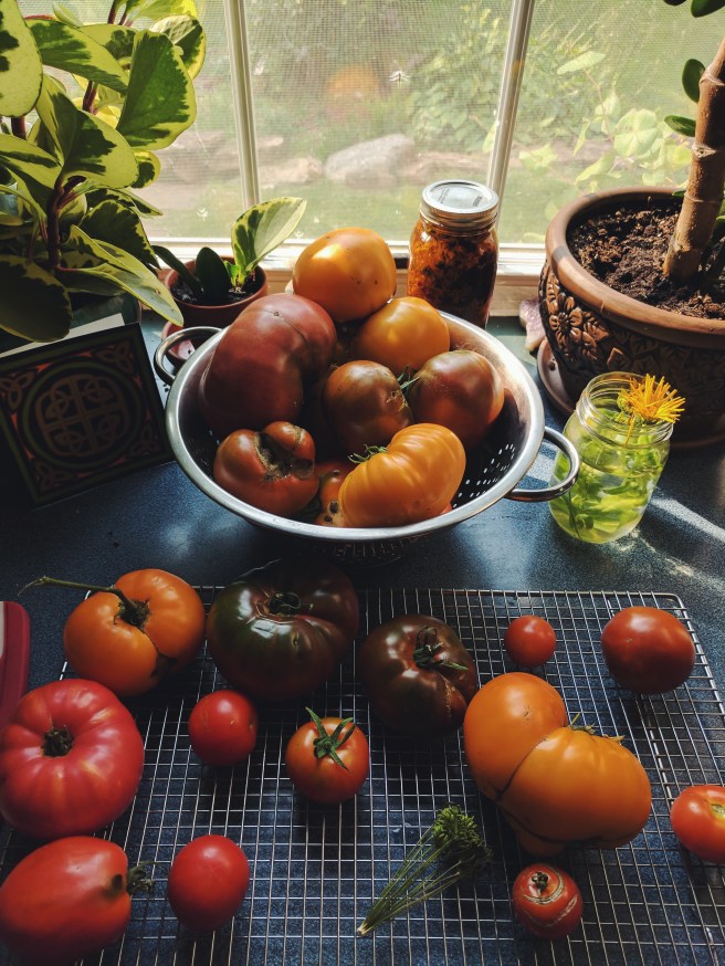 Processed with VSCO with f2 preset