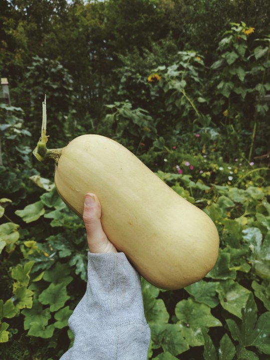 Processed with VSCO with m3 preset