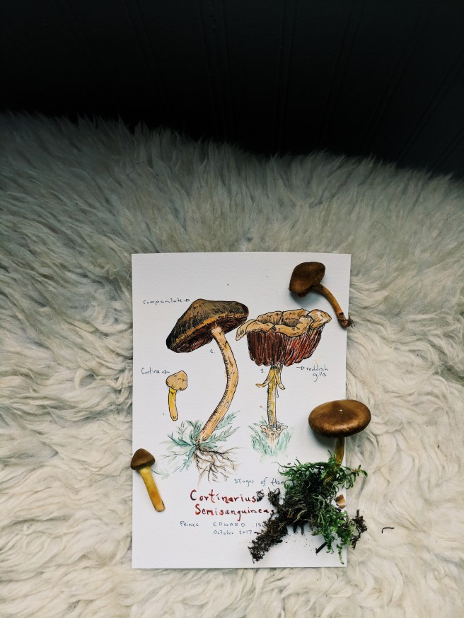 Processed with VSCO with g3 preset