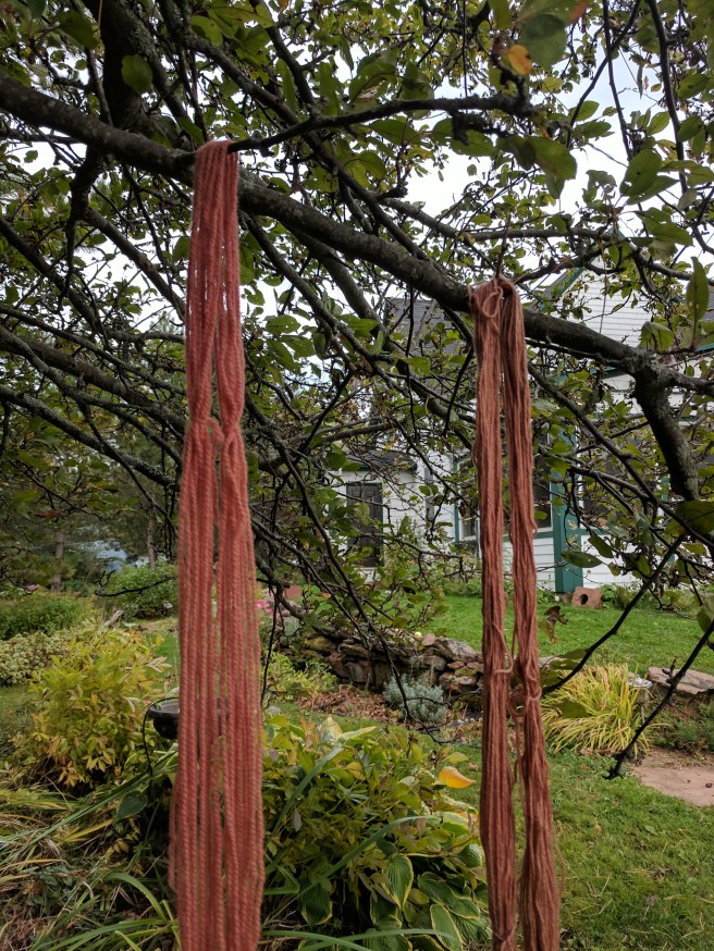 IMG_20171009_144039 (1)