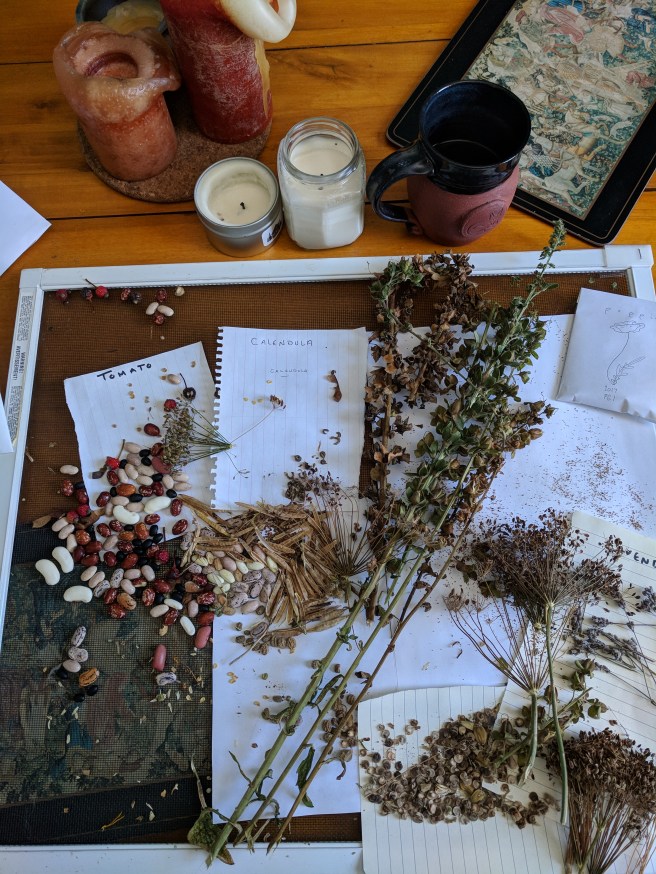 IMG_20171222_114900 (1)