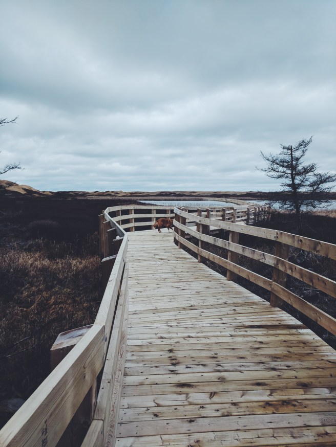 Processed with VSCO with f2 preset