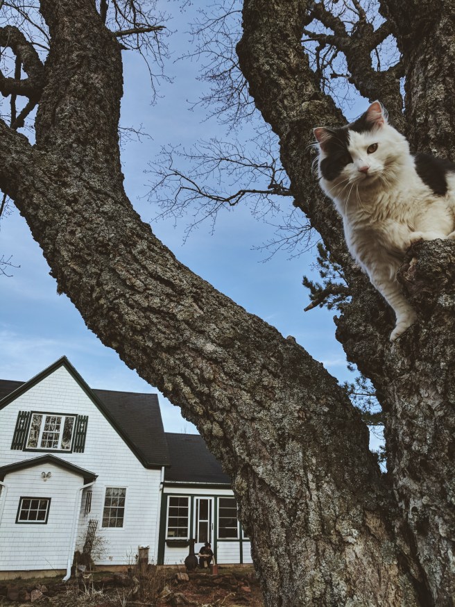 Processed with VSCO with m3 preset