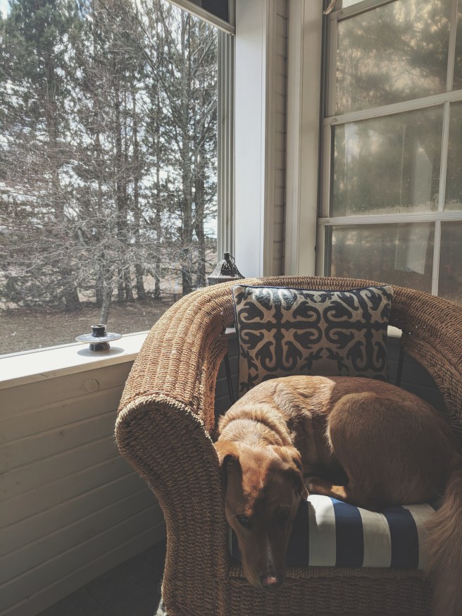 Processed with VSCO with t1 preset