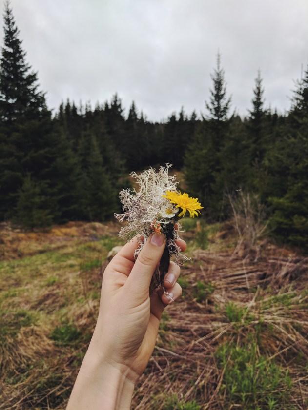 Processed with VSCO with f2 preset