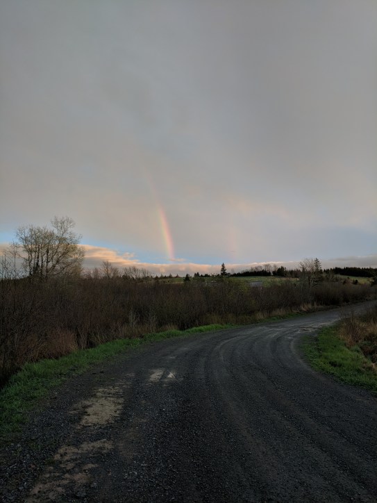 Processed with VSCO with  preset