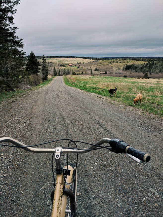 Processed with VSCO with g3 preset