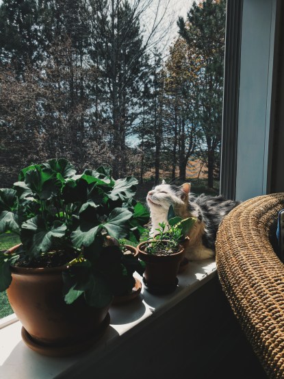 Processed with VSCO with g3 preset